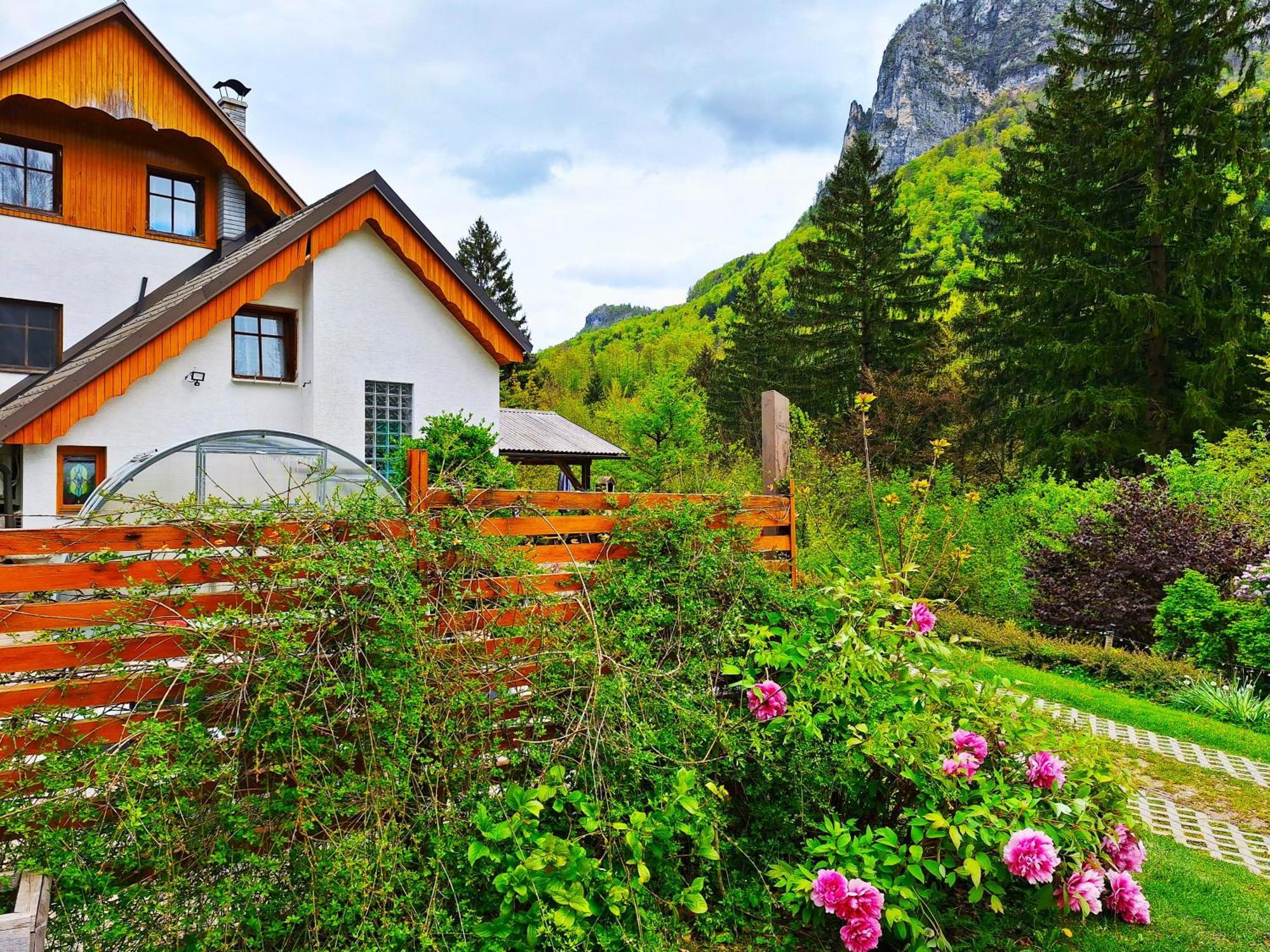 Ingreen House Bohinjska Bela Exteriör bild
