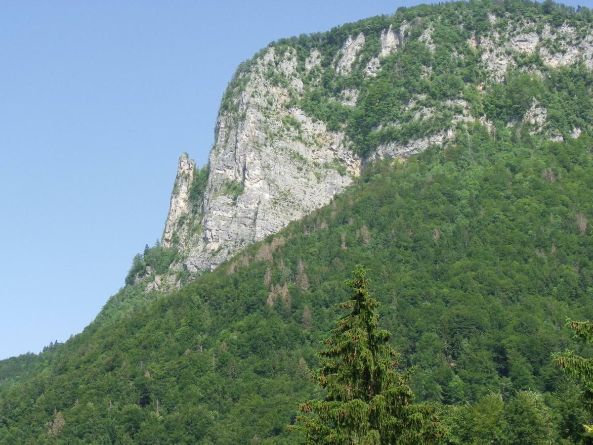 Ingreen House Bohinjska Bela Exteriör bild